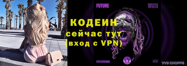 сатива Каменск-Шахтинский