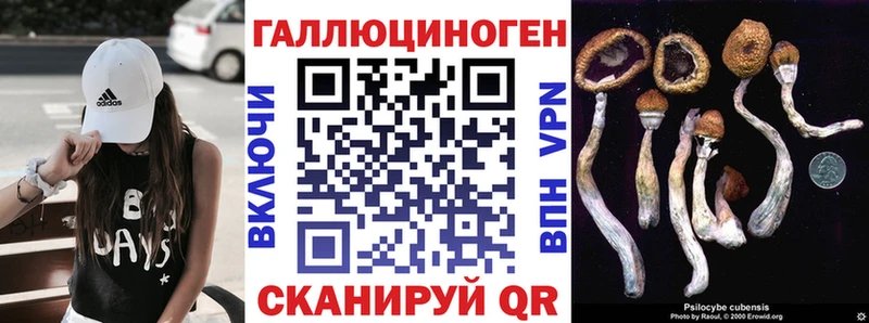 Галлюциногенные грибы Magic Shrooms  закладки  Щёлково 
